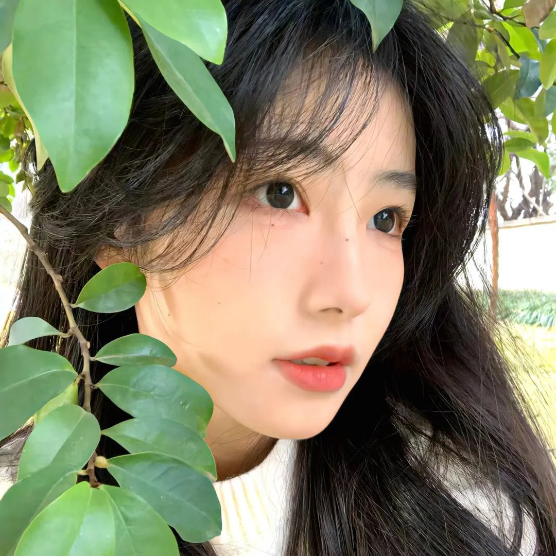 独立少年合唱团