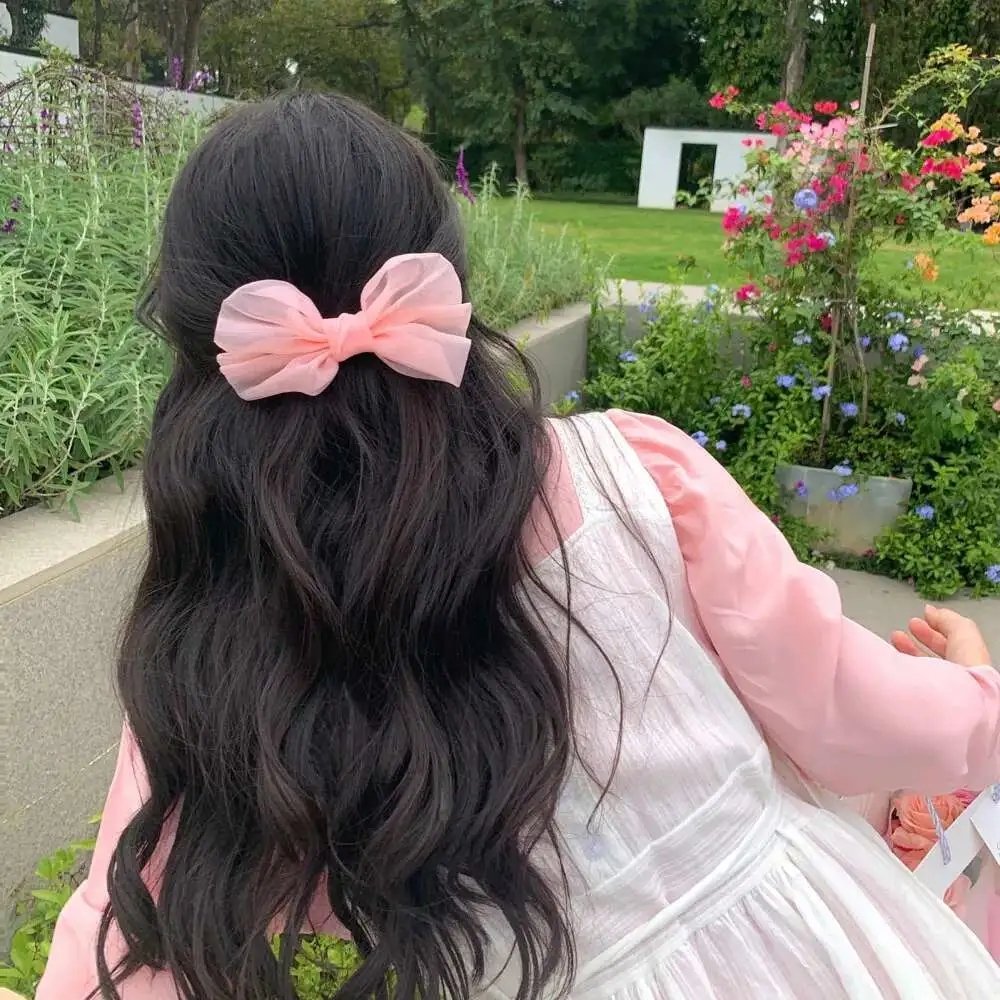 穿越大秦开局喊赢政爹